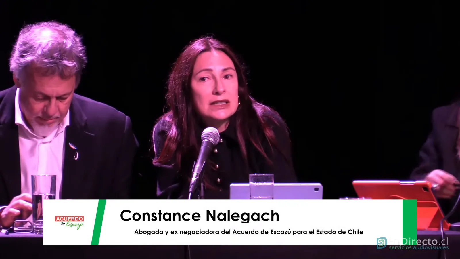 Constance Nalegach, ex negociadora del Acuerdo de Escazú para el Estado de Chile