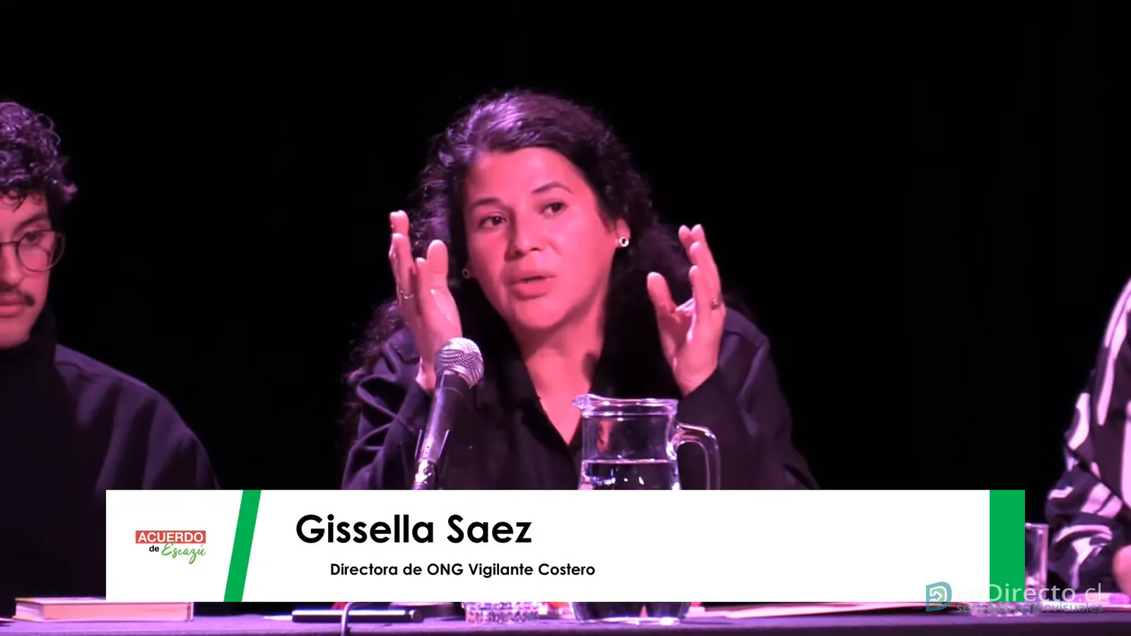 Gissella Saez, Directora de ONG Vigilante Costero